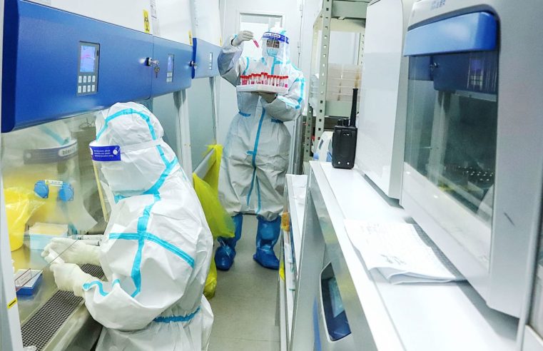 Operadores vinculados a China utilizaron un biólogo falso para socavar la sonda COVID de la Organización Mundial de la Salud