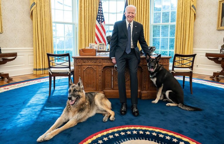Tenemos un presidente que ama a los perros, y no demasiado pronto
