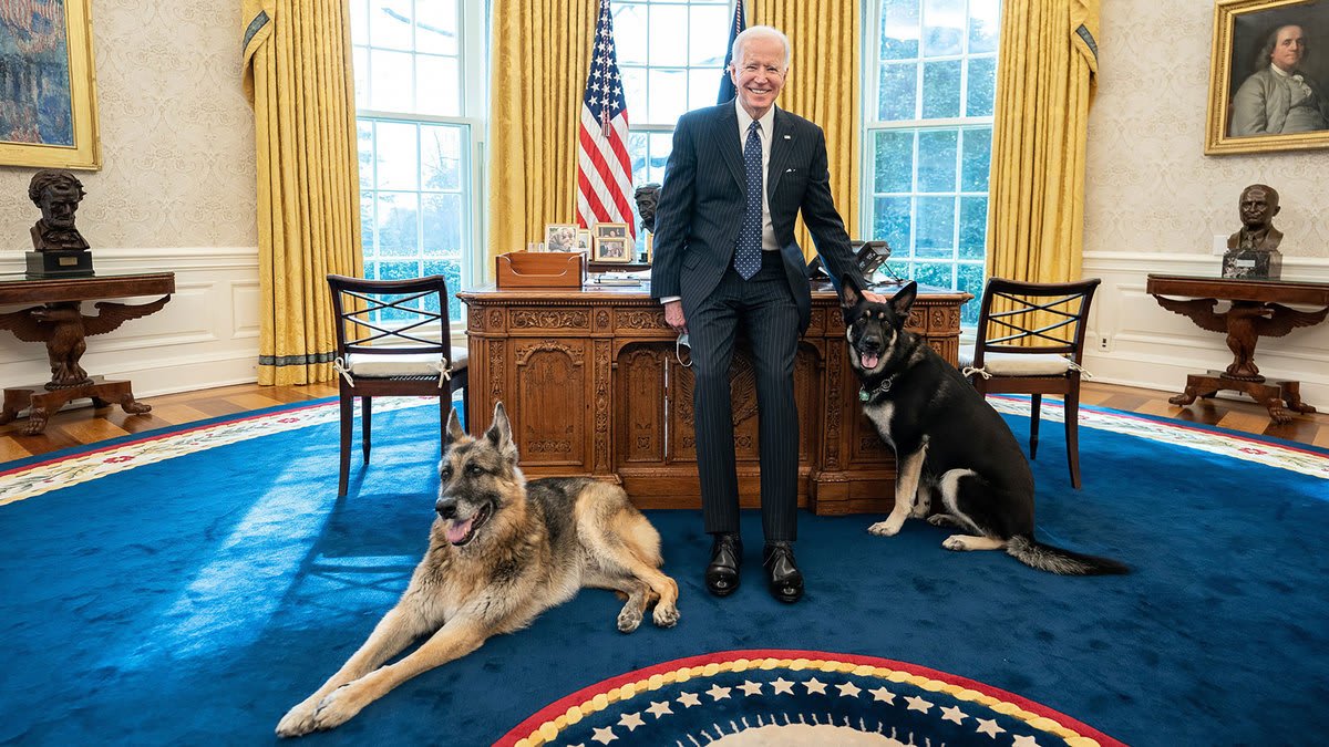 Tenemos un presidente que ama a los perros, y no demasiado pronto