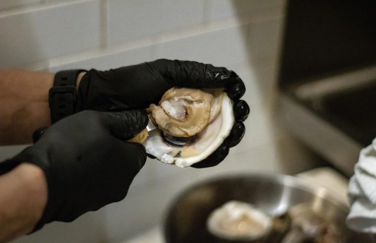 Incipiente pesquería de ostras de Georgia frenada por límites