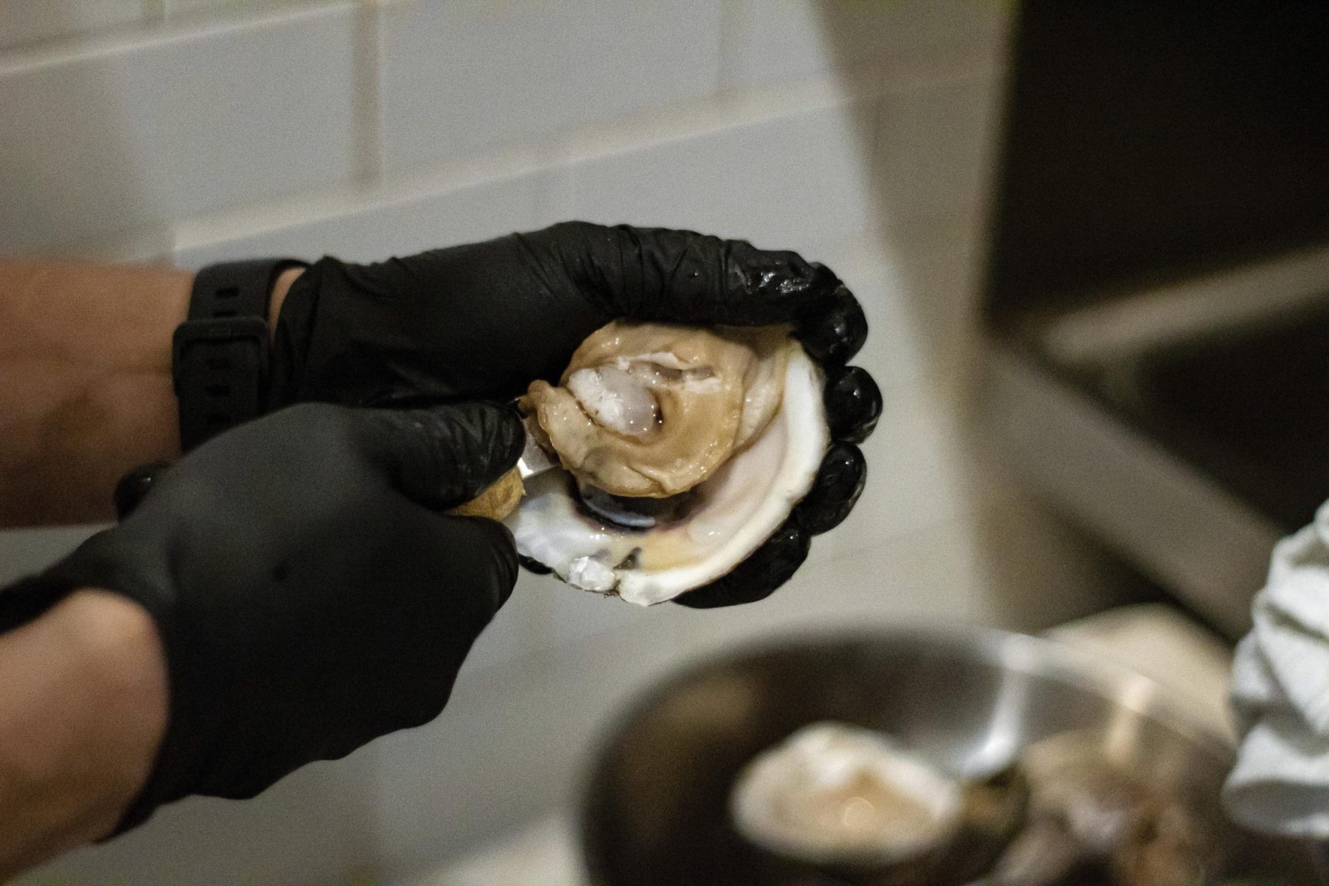 Incipiente pesquería de ostras de Georgia frenada por límites