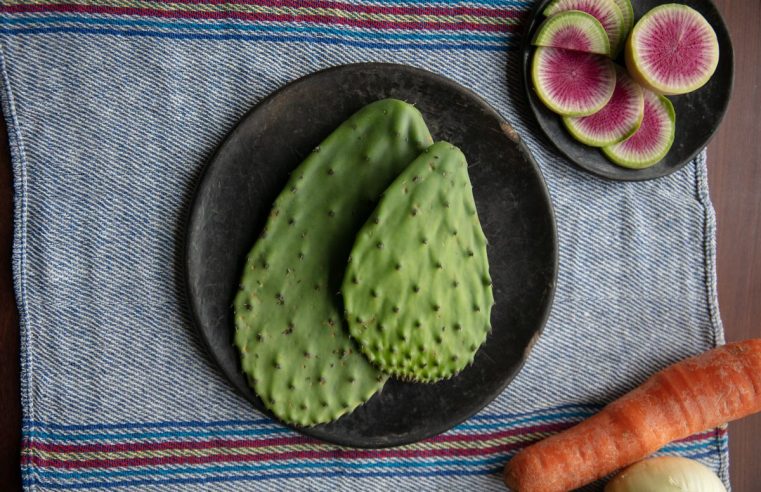 Introducción a la cocina con cactus