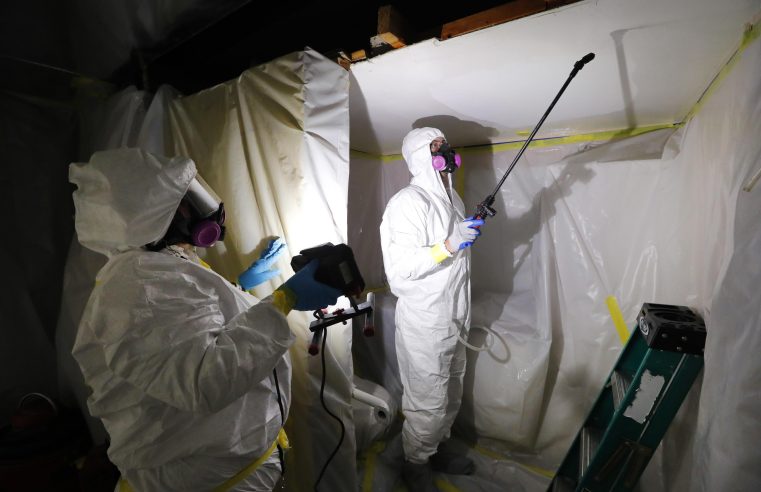 La regla de la EPA finalmente prohibiría el asbesto, un carcinógeno todavía en uso