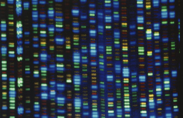 Los científicos finalmente terminan de decodificar el genoma humano completo
