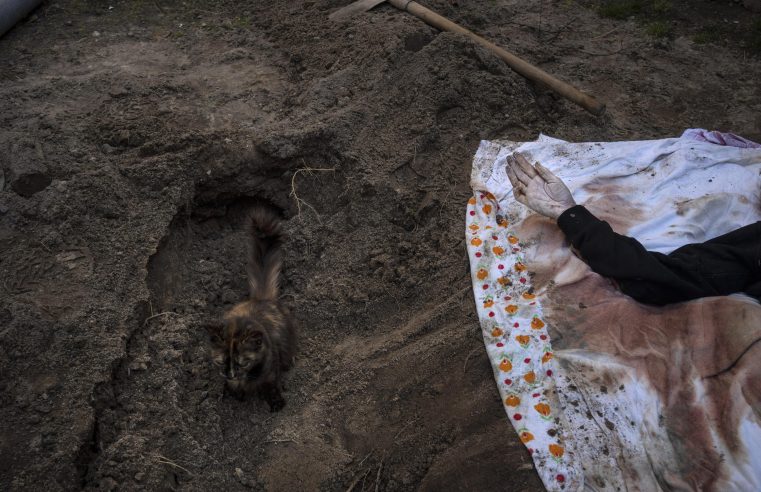 Policía: más de 900 cadáveres de civiles encontrados en la región de Kiev