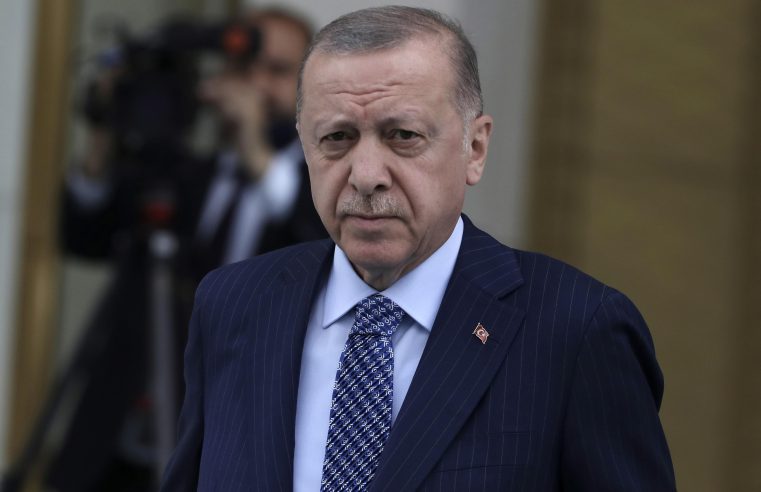 EXPLICATOR: ¿Por qué Turquía desconfía de la oferta de la OTAN de los estados nórdicos?