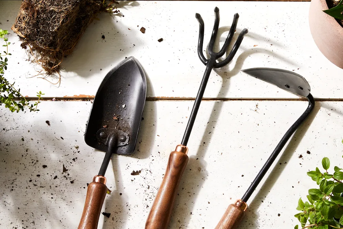 Entonces, ¿cuándo fue la última vez que limpiaste tus herramientas de jardinería?