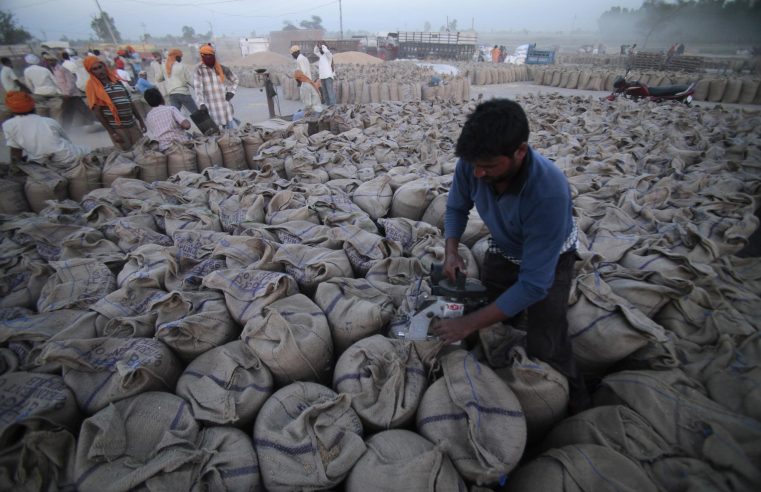La India prohíbe las exportaciones de trigo, alegando una amenaza para la seguridad alimentaria