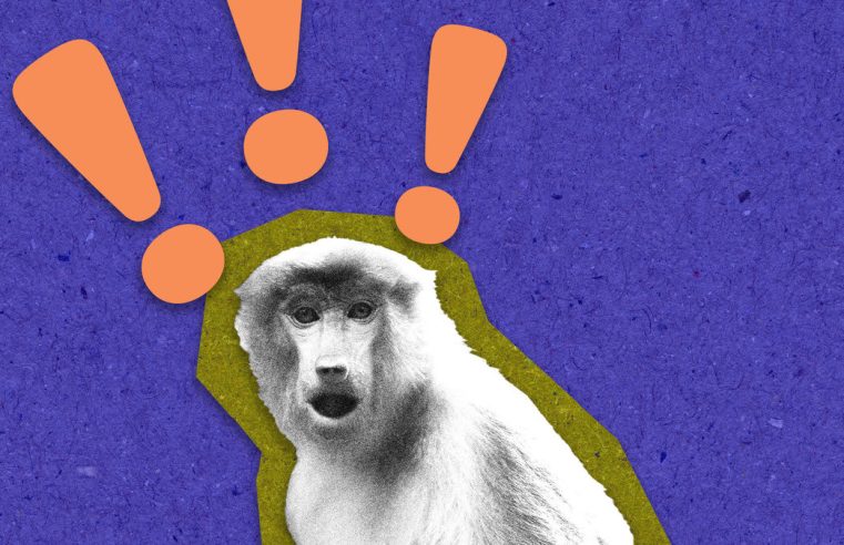 La viruela del mono se propaga durante las relaciones sexuales, y eso es realmente un alivio