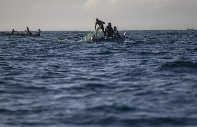 Para biólogo marino, las bandas haitianas hacen que el trabajo sea peligroso