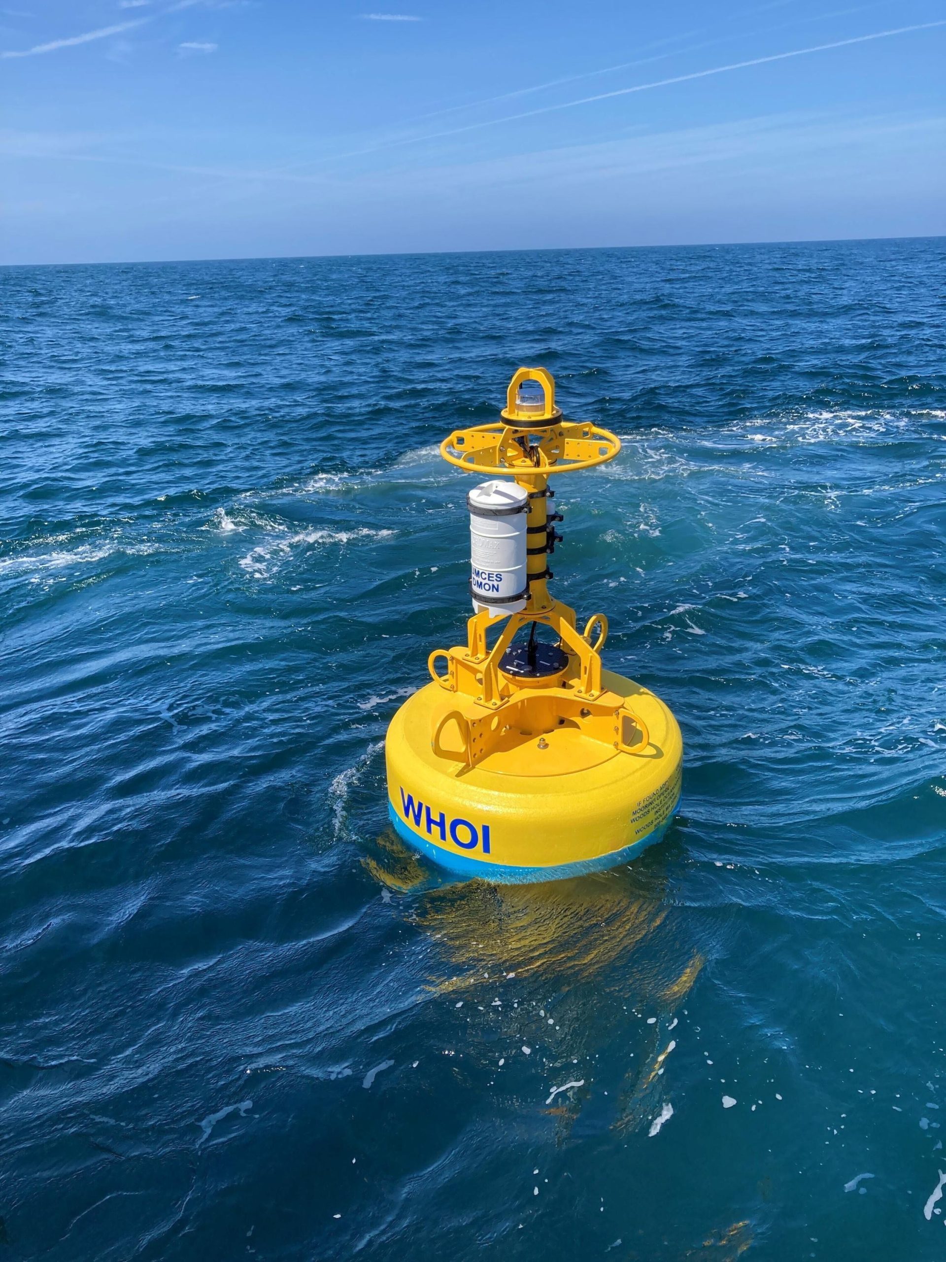 Boyas robóticas desarrolladas para mantener seguras a las ballenas francas del Atlántico
