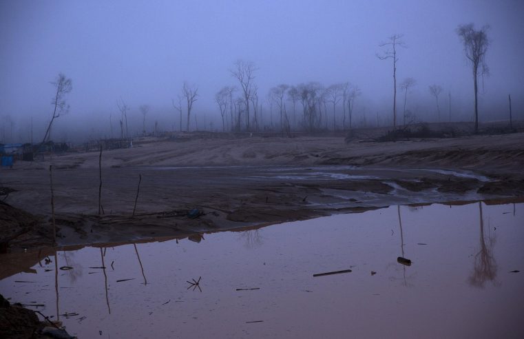 Inmerso en crisis, Perú descuida la destrucción de la Amazonía