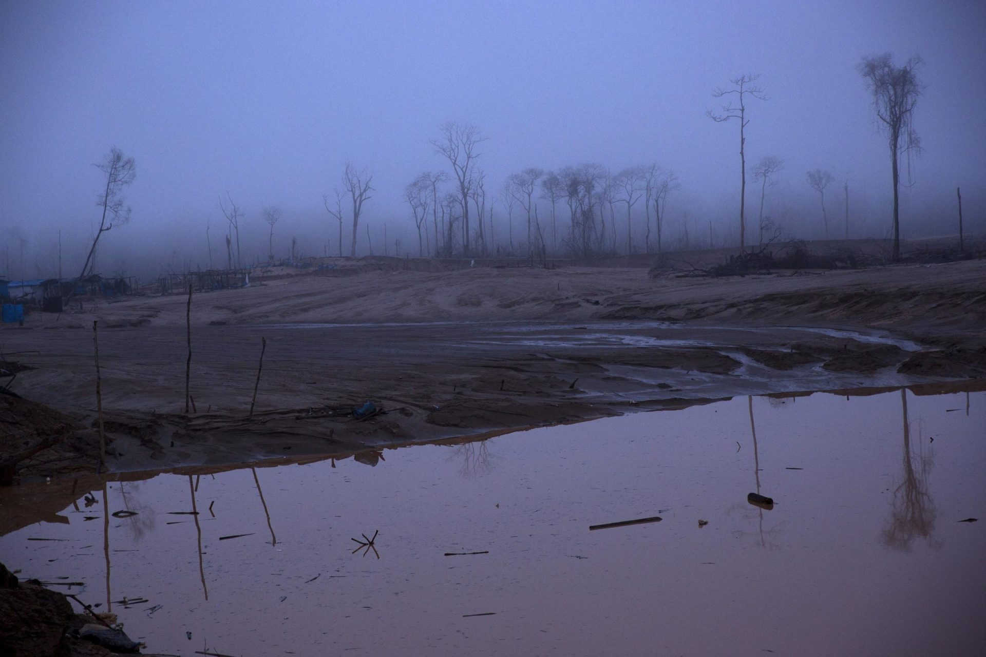Inmerso en crisis, Perú descuida la destrucción de la Amazonía