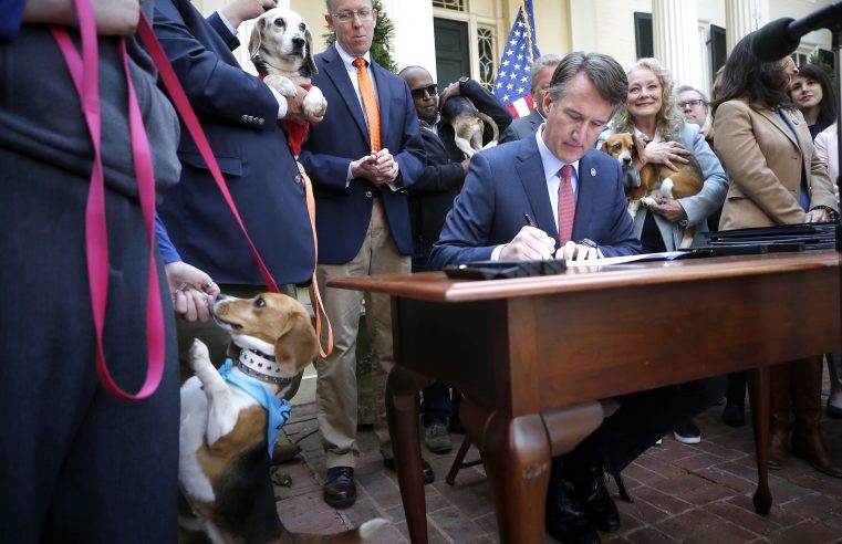 Los federales demandan al operador de un criadero de perros y confiscan beagles