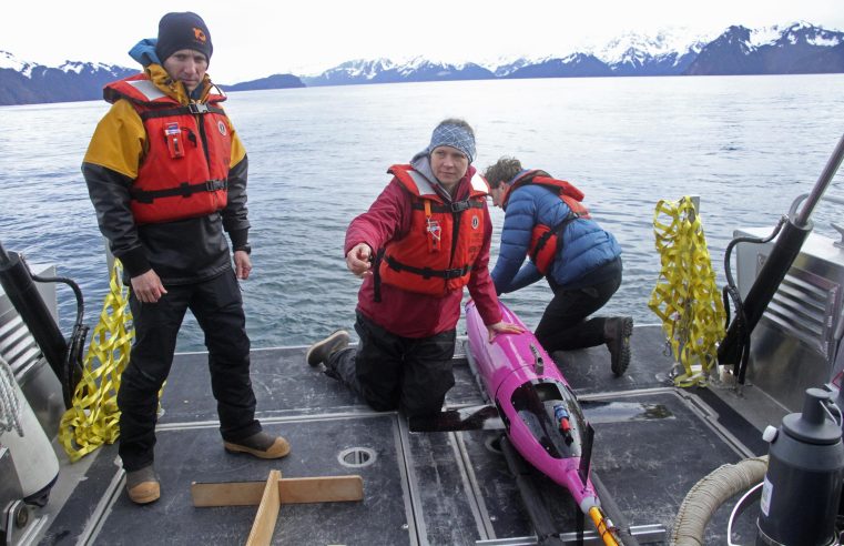 Una primicia en el océano: un dron submarino rastrea el CO2 en el golfo de Alaska