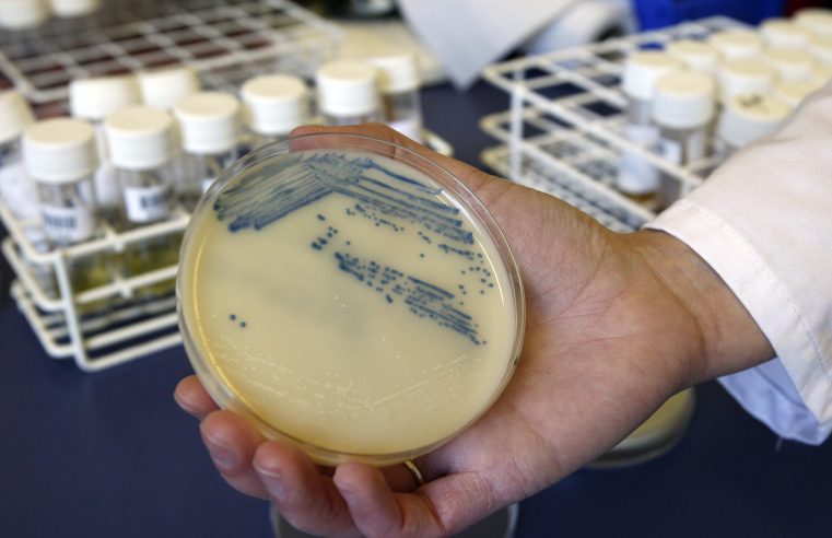 Las infecciones por superbacterias y las muertes aumentaron al principio de la pandemia