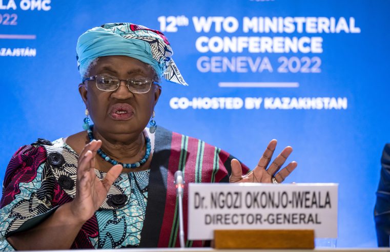 Los ministros de la OMC llegan a acuerdos sobre pesca, alimentos y vacunas contra el COVID