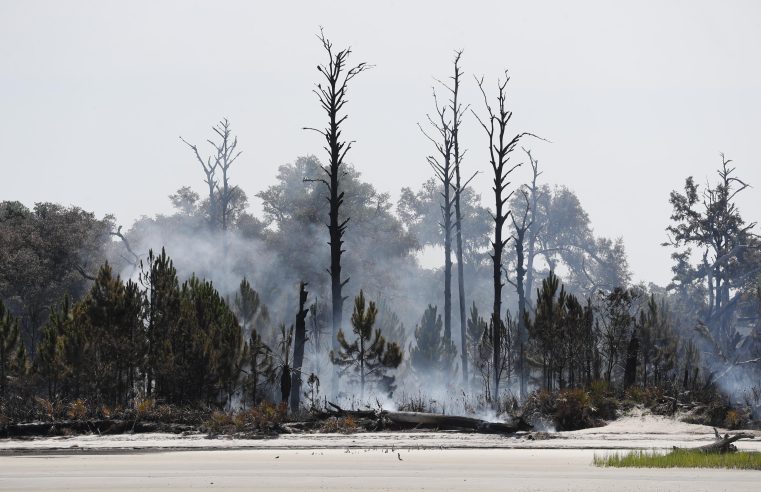 Un incendio forestal amenaza una isla virgen de Georgia rica en historia