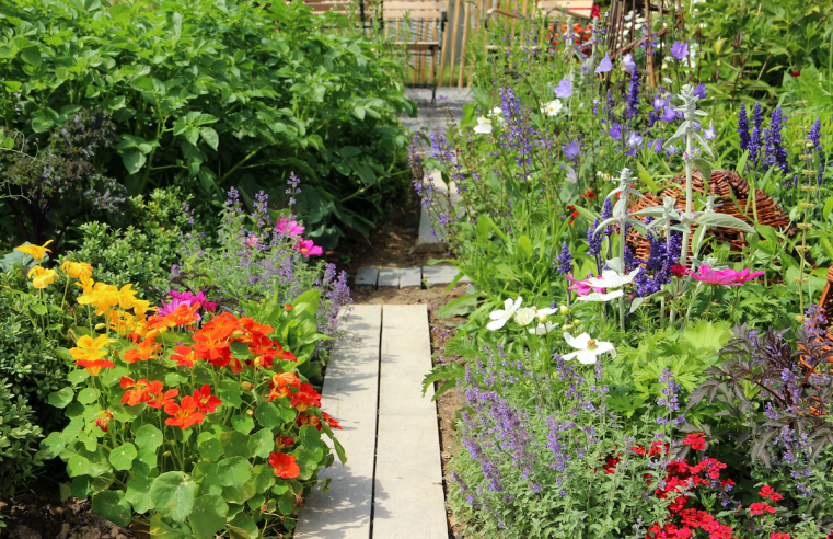 6 formas de añadir un toque de naturaleza a su jardín