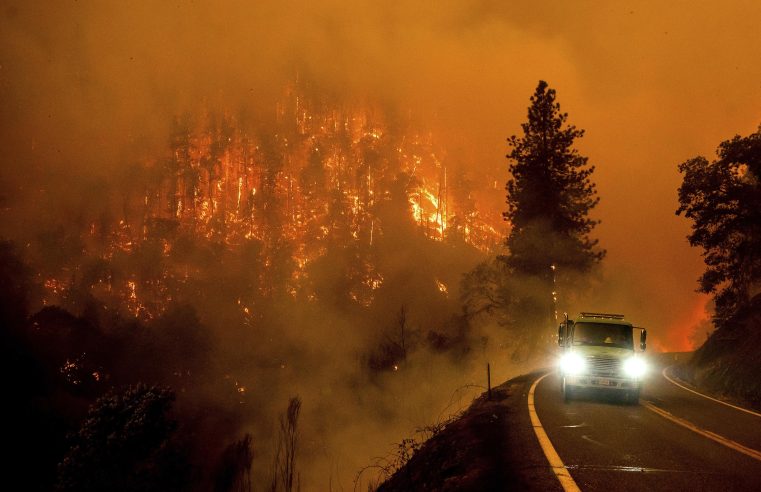 El ADN y los registros dentales identifican a los 4 muertos por el incendio forestal de California