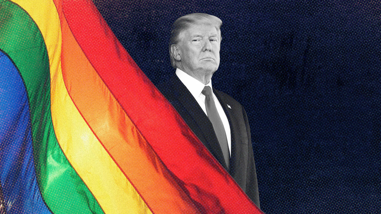 El nuevo libro de Haberman detalla el comportamiento transfóbico y antigay de Trump
