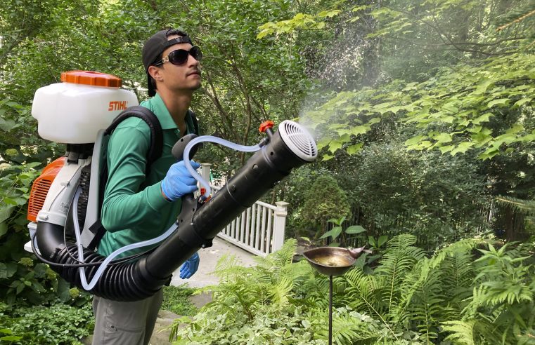 La fumigación de mosquitos en el patio trasero aumenta, pero puede ser demasiado mortal