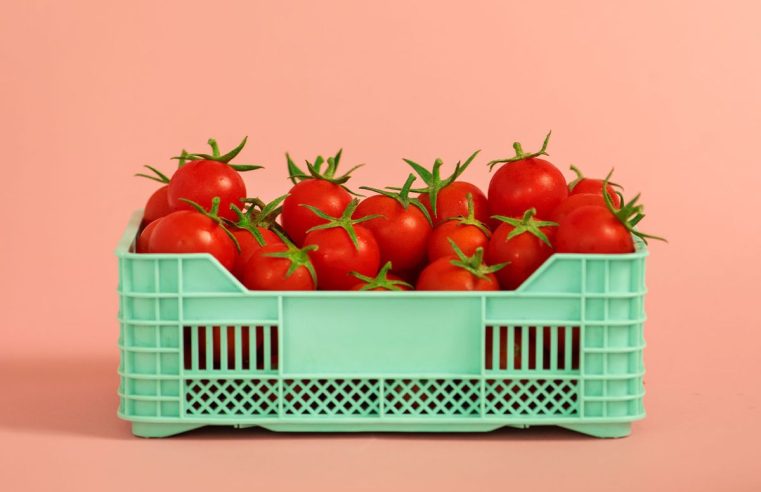 Lo que me enseñó sobre la cocina el uso de mis tomates de fin de verano