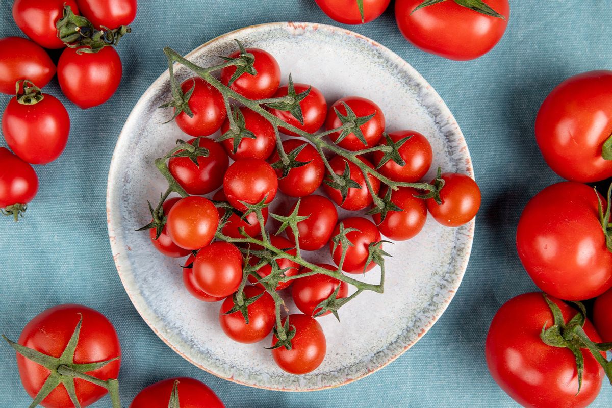 Lo que plantar tomates nos muestra sobre el cambio climático