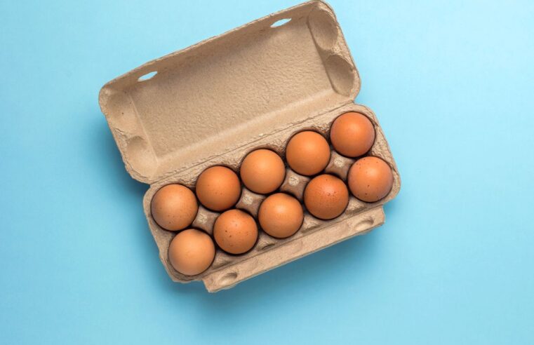 ¿Los huevos sin jaula significan que las gallinas estaban fuera?
