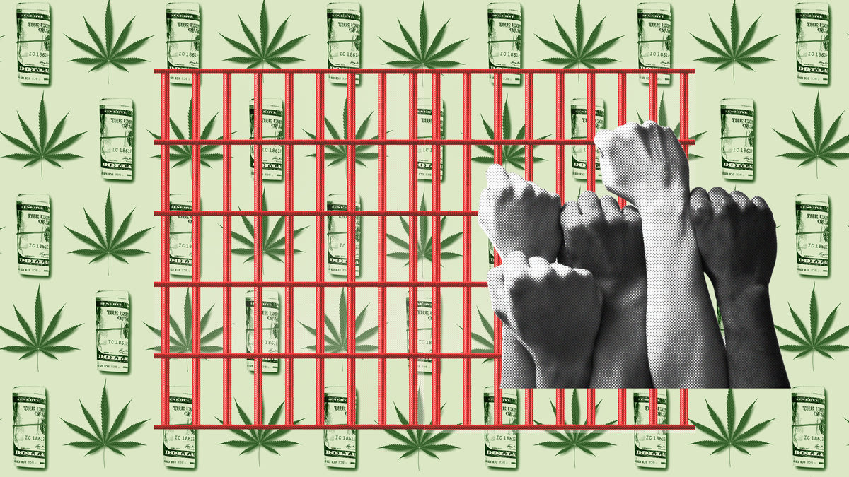 Gravar la marihuana legalmente y dar el dinero a las víctimas de la guerra contra las drogas