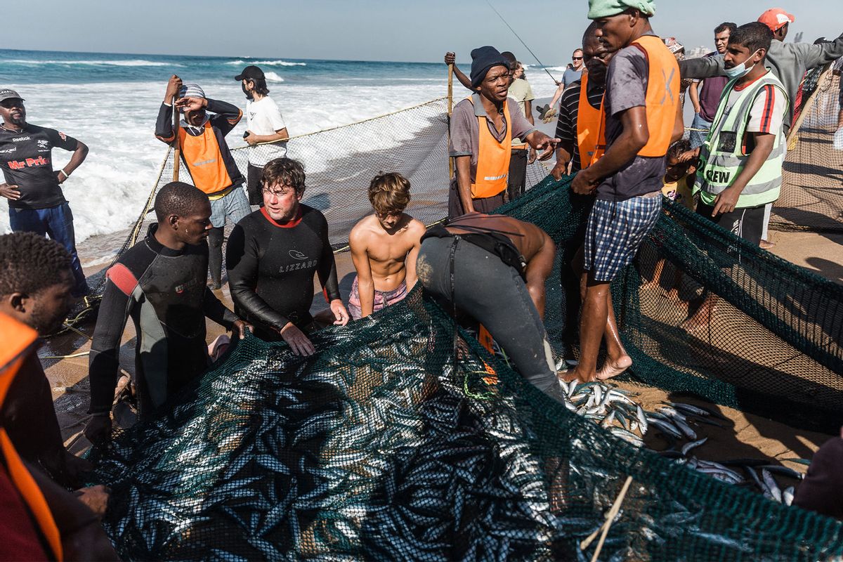 Los pescadores en pequeña escala de Sudáfrica han sido marginados desde el apartheid: lo que debe cambiar