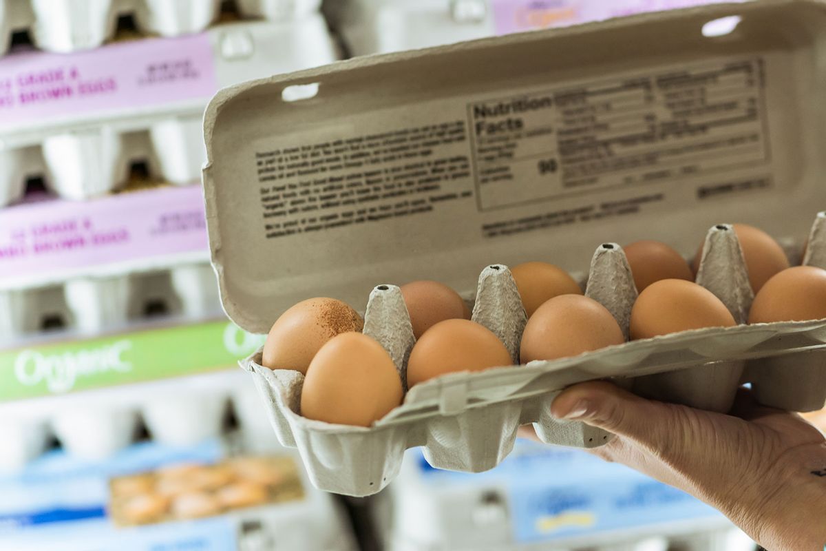 Cadenas de suministro de comestibles: comprender por qué los huevos cuestan lo que cuestan