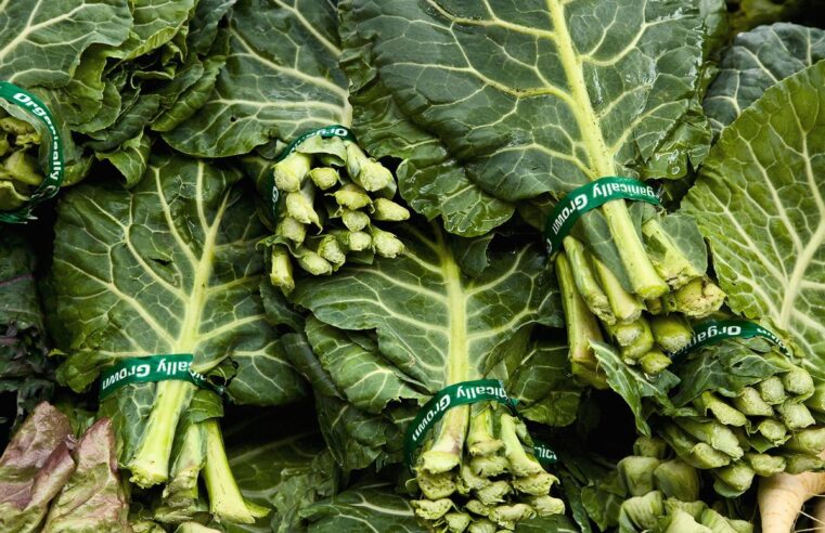 Conozca la col rizada: por qué vale la pena emocionarse con esta verdura de hoja verde