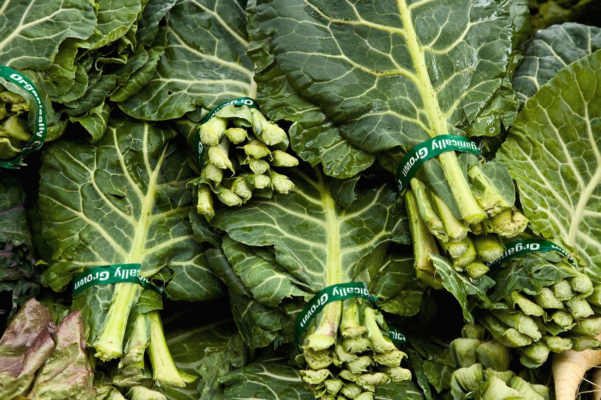Conozca la col rizada: por qué vale la pena emocionarse con esta verdura de hoja verde