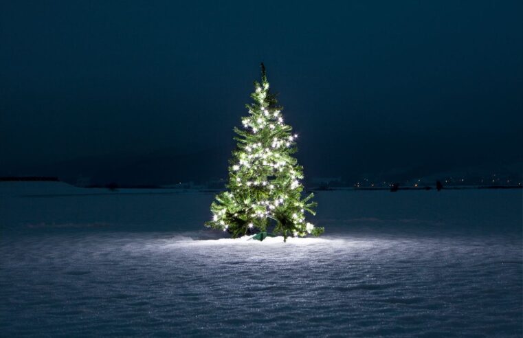 El árbol de Navidad es una tradición más antigua que la Navidad