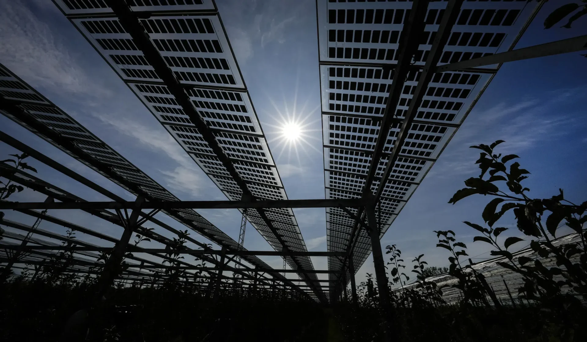 Empresa coreana planea $2.500 millones en nuevas plantas de paneles solares en Georgia