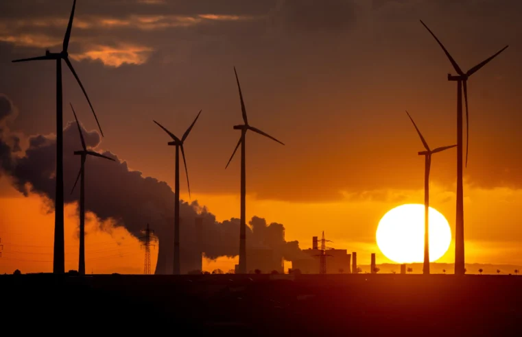 La política, el clima y la guerra hacen de 2022 un “año clave” para la energía limpia