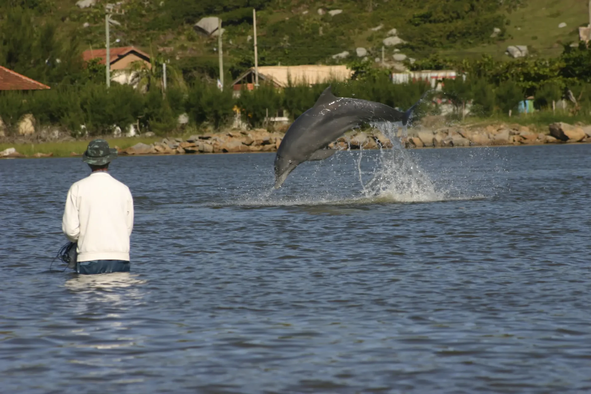 Los delfines y los humanos se benefician de la colaboración pesquera