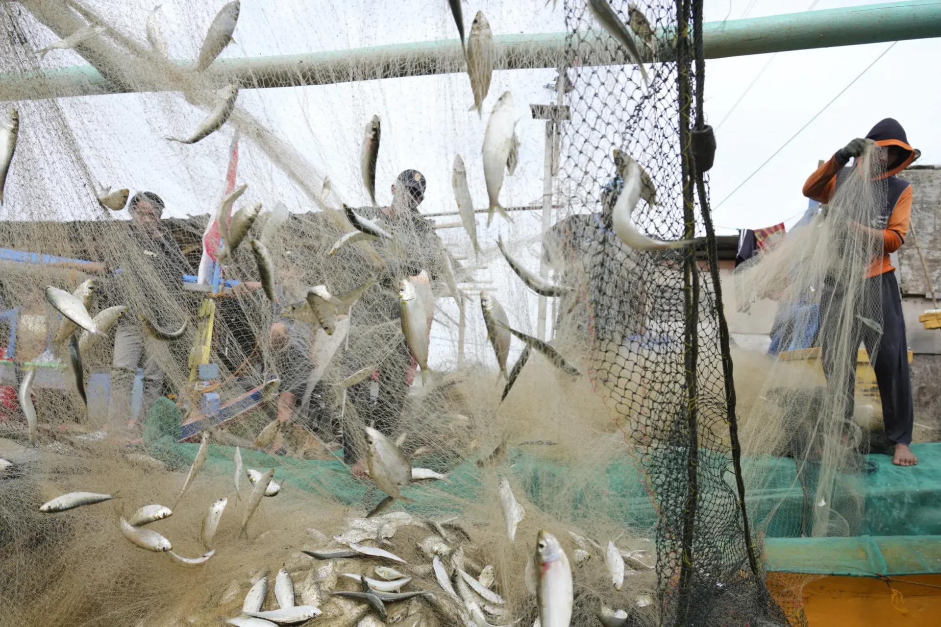 La corrupción pone en peligro las pesquerías cada vez más reducidas del mundo