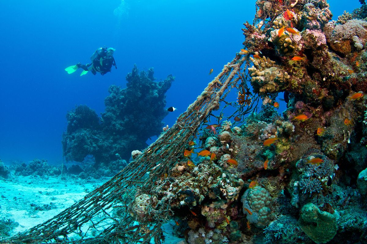 ¿Cuál es la solución a los artes de pesca fantasmas que contaminan los océanos?