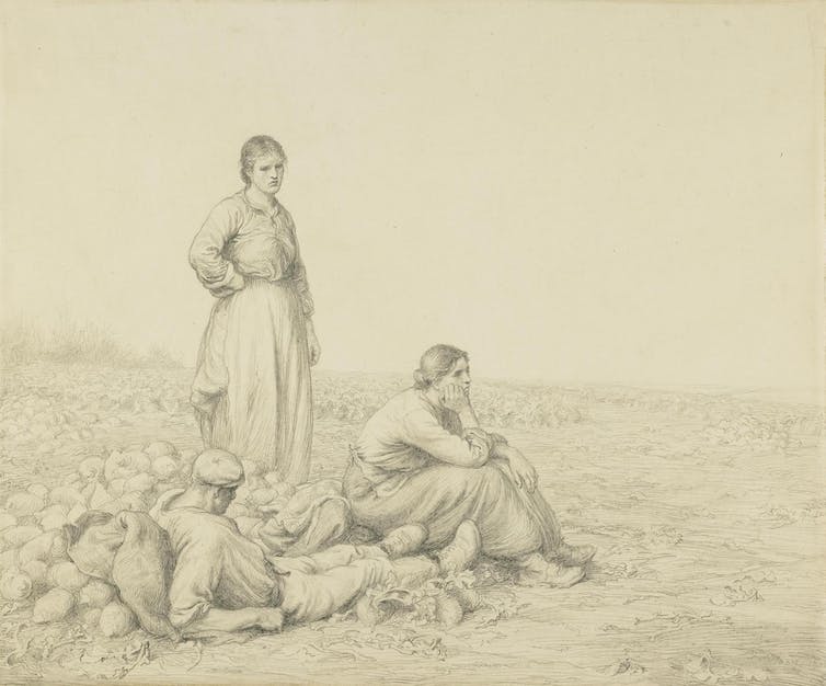 Una mujer de pie, otra sentada y un hombre tumbado en un campo de nabos