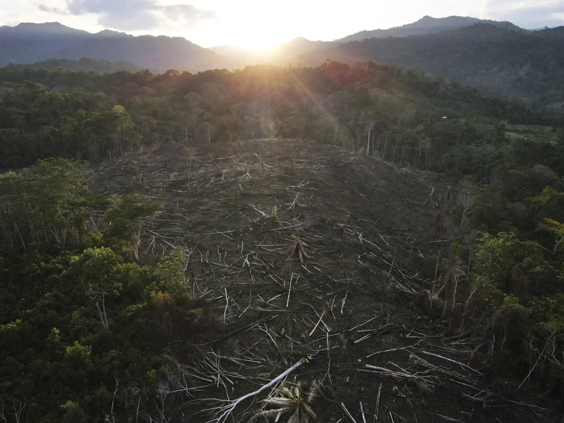 ‘Salió mal’: Dudas sobre programa de créditos de carbono en bosques de Perú