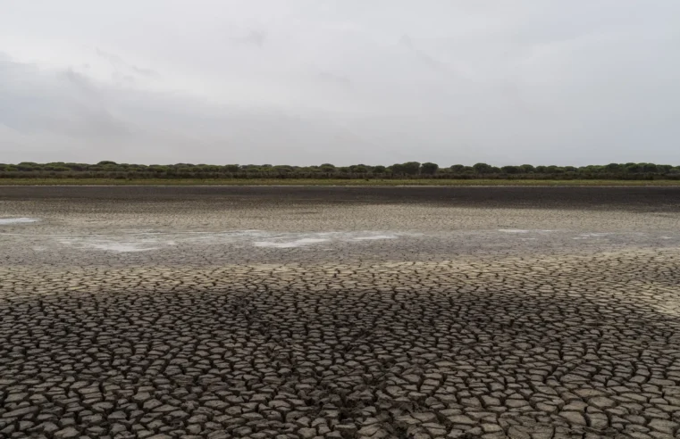 Andalucía considera más riego cerca de los humedales españoles