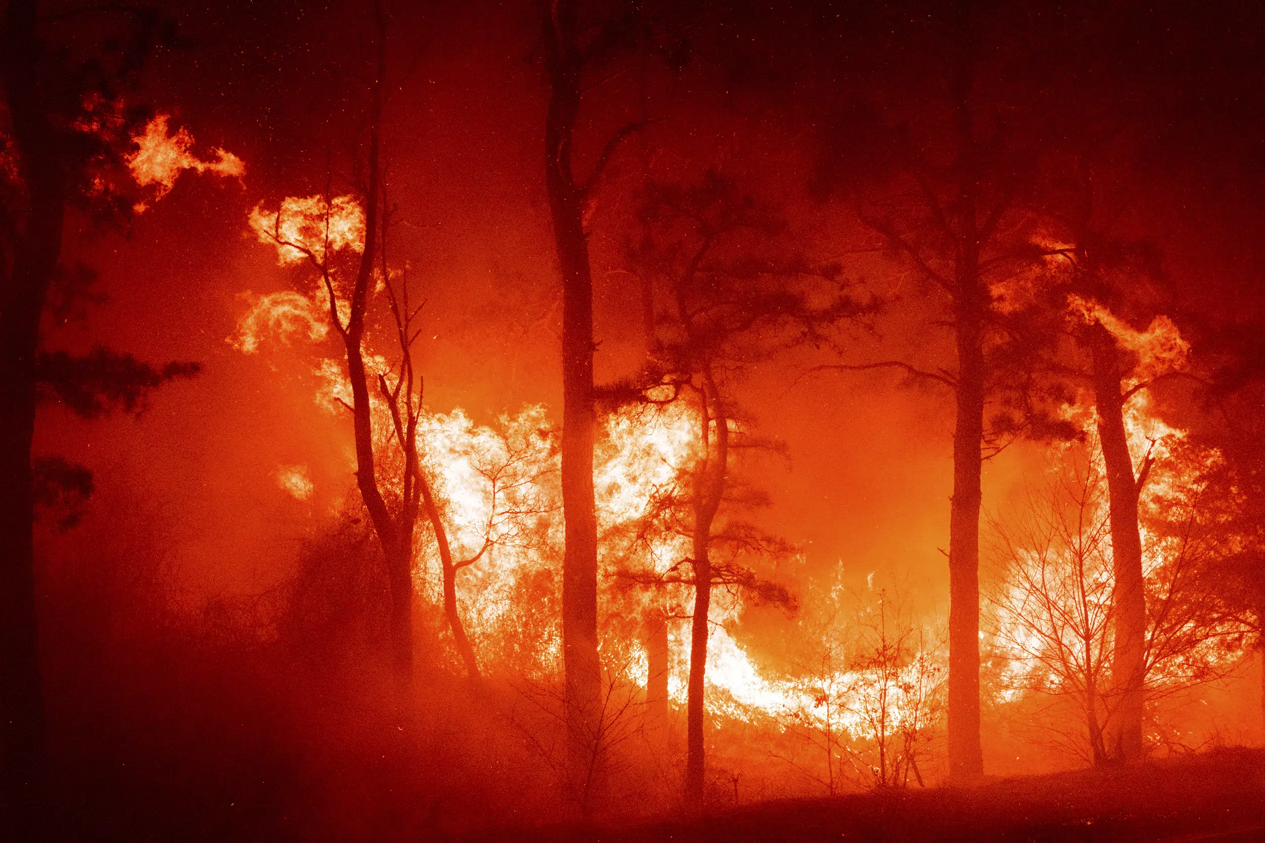 Grandes llamas, lluvia de brasas en el incendio de New Jersey Pine Barrens