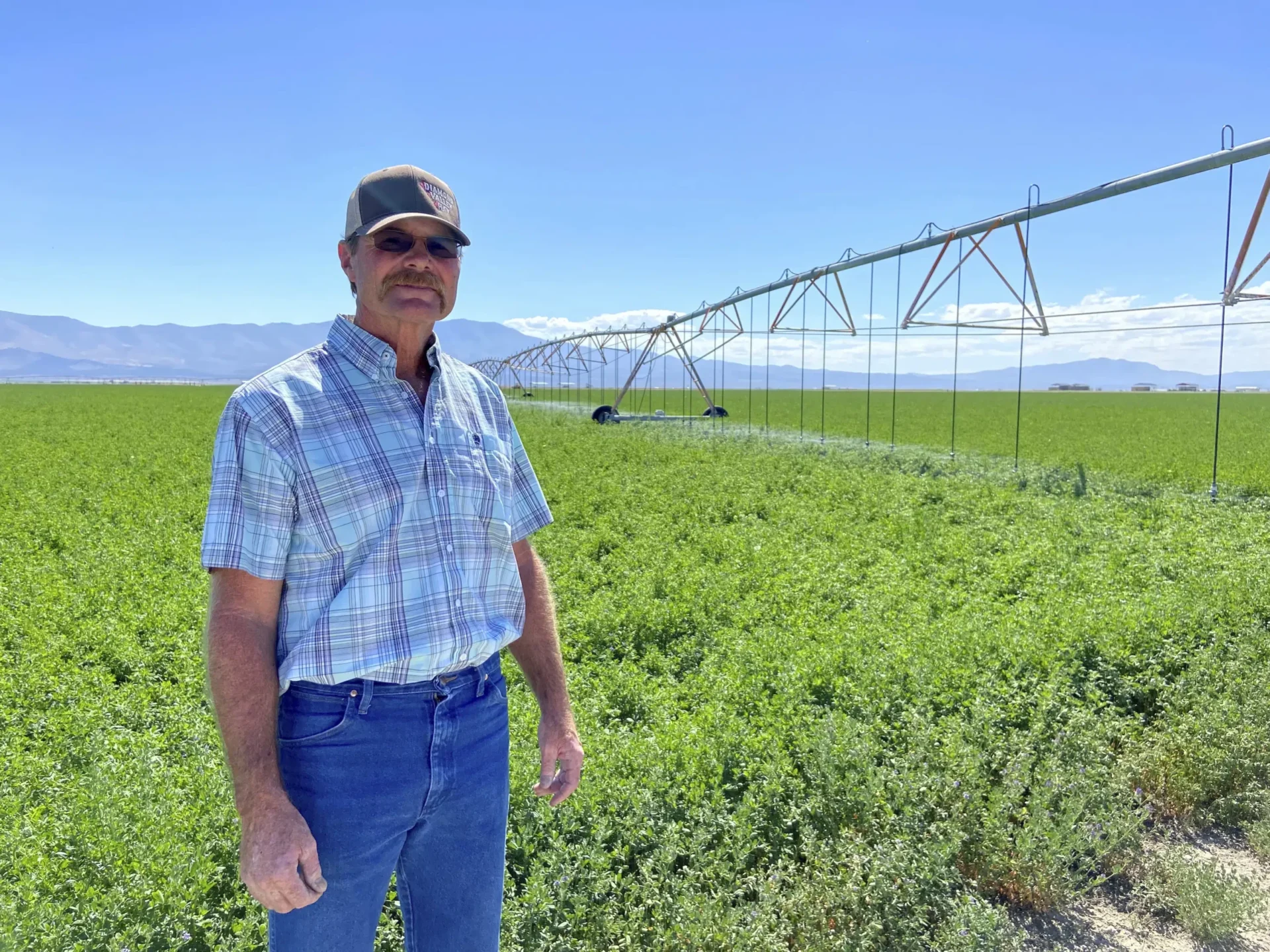 Para conservar, Nevada puede intentar recomprar los derechos de agua subterránea