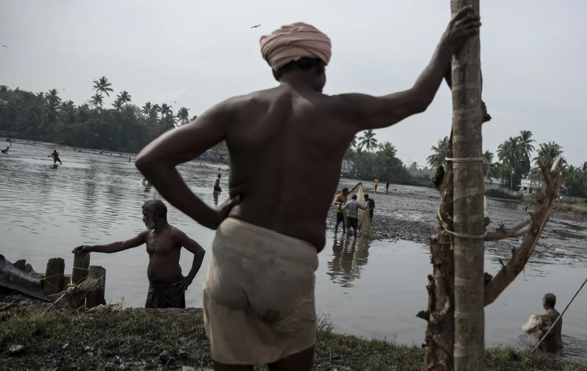 Se avecinan problemas para el grano indio que combate el cambio climático