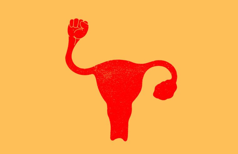 5 mujeres en el Senado estatal de Carolina del Sur están salvando el derecho al aborto (por ahora)