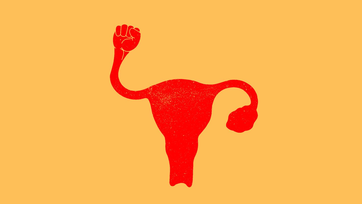 5 mujeres en el Senado estatal de Carolina del Sur están salvando el derecho al aborto (por ahora)