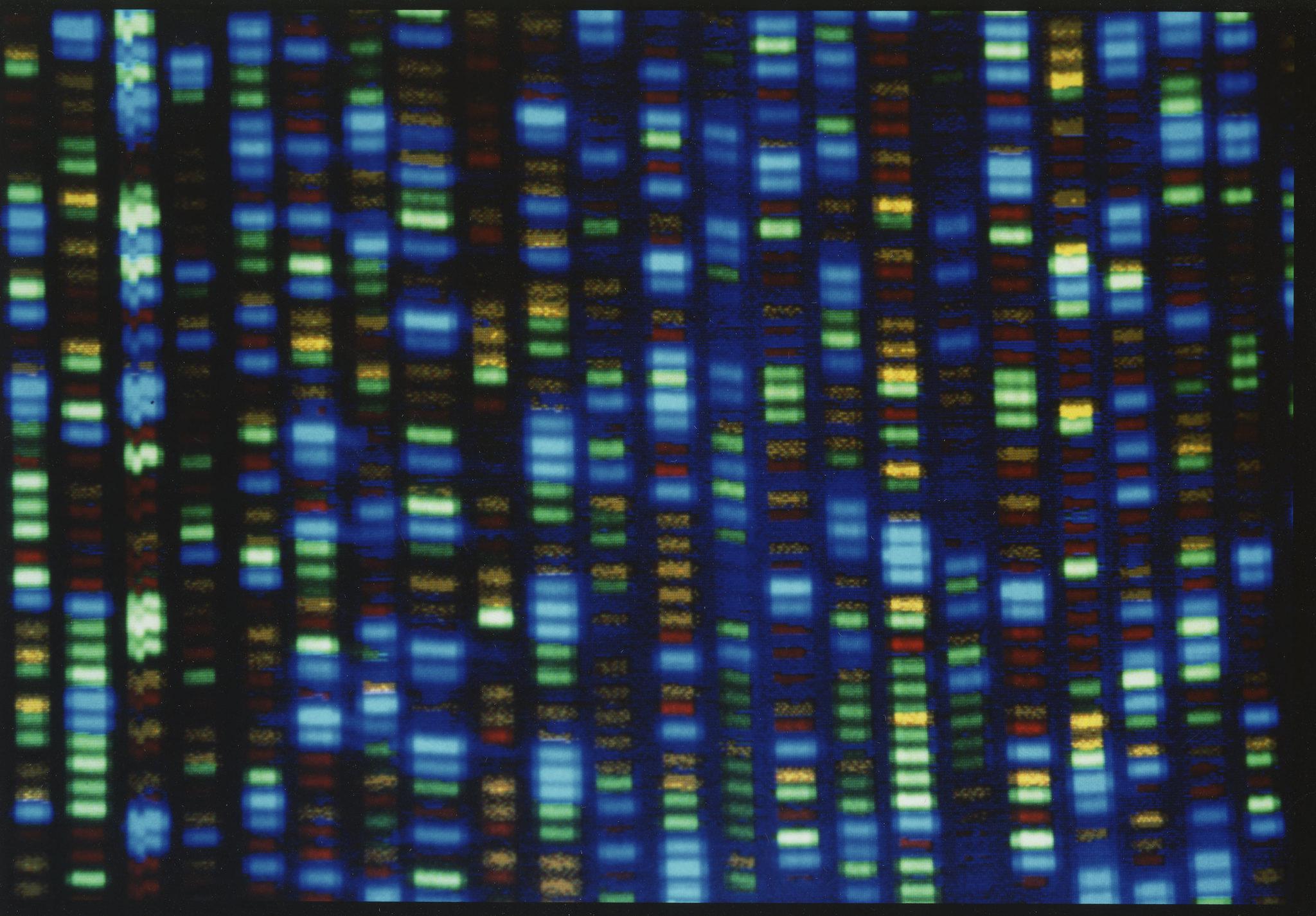 Ampliación de la “guía de referencia” del ADN para reflejar la diversidad humana