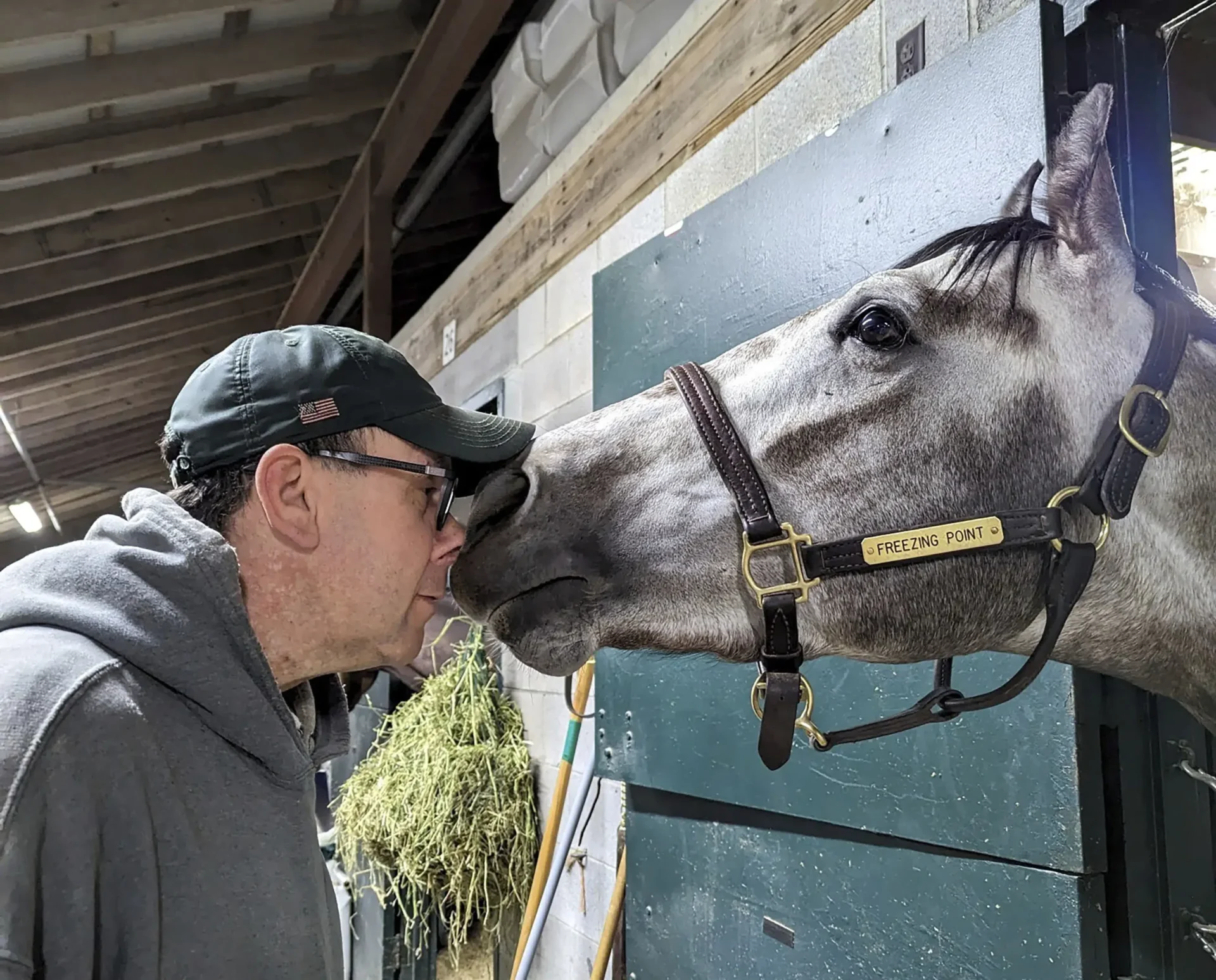 Los establos, los entrenadores intentan superar el dolor por la eutanasia de los caballos mientras las carreras continúan.